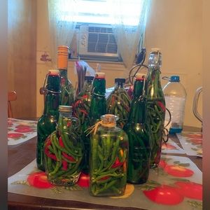 Meet your Posher, Daisy